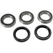 Set rulment roată spate OEM replacement PIVOT WORKS PWRWK-S22-400 Set rulment roată spate OEM replacement PIVOT WORKS PWRWK-S22-400 thumb