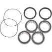 Set rulment roată spate OEM înlocuire PIVOT WORKS PWRWK-S25-400 thumb
