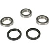 Set rulment roată spate OEM replacement PIVOT WORKS PWRWK-Y09-421
