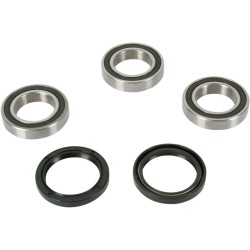 Set rulment roată spate OEM replacement PIVOT WORKS PWRWK-Y09-421 Set rulment roată spate OEM replacement PIVOT WORKS PWRWK-Y09-421