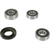 Set rulment roată spate OEM replacement PIVOT WORKS PWRWK-K18-001