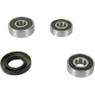 Set rulment roată spate OEM replacement PIVOT WORKS PWRWK-K18-001 Set rulment roată spate OEM replacement PIVOT WORKS PWRWK-K18-001 thumb