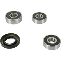 Set rulment roată spate OEM replacement PIVOT WORKS PWRWK-K18-001 Set rulment roată spate OEM replacement PIVOT WORKS PWRWK-K18-001