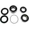 Set roată și garnitură SB OEM piesă de schimb spate PIVOT WORKS PWRWS-H14-000