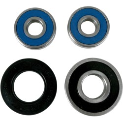 Set roată și garnitură SB OEM piesă de schimb spate PIVOT WORKS PWRWS-S02-000 Set roată și garnitură SB OEM piesă de schimb spate PIVOT WORKS PWRWS-S02-000