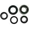 Set roată și etanșare SB OEM piesă de schimb spate PIVOT WORKS PWRWS-S05-000 thumb