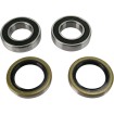 Set rulment spate roată OEM replacement PIVOT WORKS PWRWK-T04-521 thumb