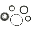 Set roată și etanșare SB OEM piesă de schimb spate PIVOT WORKS PWRWS-Y23-000 Set roată și etanșare SB OEM piesă de schimb spate PIVOT WORKS PWRWS-Y23-000 thumb