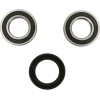 Set rulment roată față înlocuire OEM PIVOT WORKS PWFWK-S24-000