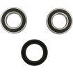 Set rulment roată față înlocuire OEM PIVOT WORKS PWFWK-S24-000 thumb
