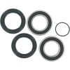 Set rulment roată spate înlocuire OEM PIVOT WORKS PWRWK-S54-000