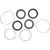 Set rulment roată spate OEM înlocuire PIVOT WORKS PWRWK-Y67-450