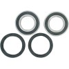 Set rulment roată spate înlocuire OEM PIVOT WORKS PWRWK-Y77-000