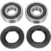 Set roată și garnitură SB OEM înlocuire spate natural PIVOT WORKS PWRWS-V02-000 thumb