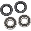 Set rulmenți pentru roți OEM înlocuire față naturală PIVOT WORKS PWFWK-H53-000 Set rulmenți pentru roți OEM înlocuire față naturală PIVOT WORKS PWFWK-H53-000 thumb
