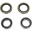 Set rulmenți roți OEM înlocuire față naturală PIVOT WORKS PWFWK-T19-000 Set rulmenți roți OEM înlocuire față naturală PIVOT WORKS PWFWK-T19-000 thumb