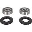 Set rulment roată spate OEM replacement rear natural PIVOT WORKS PWRWK-H68-000 thumb