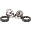 Set roată și etanșare SB OEM replacement față PIVOT WORKS PWFWS-HD01-000 Set roată și etanșare SB OEM replacement față PIVOT WORKS PWFWS-HD01-000 thumb