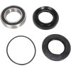Set rulment spate roată OEM înlocuire naturală PIVOT WORKS PWRWK-H71-000