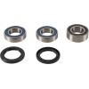 Set rulmenți pentru roată - spate PIVOT WORKS PWRWK-SH1-000
