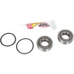 Set rulmenți pentru tubul de direcție OEM înlocuire naturală PIVOT WORKS PWSSK-T02-000 thumb