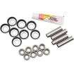Set rulmenți pentru A-Arm înlocuire OEM inferior PIVOT WORKS PWAAK-Y02-000L Set rulmenți pentru A-Arm înlocuire OEM inferior PIVOT WORKS PWAAK-Y02-000L thumb
