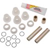 Set rulmenți a-arm PIVOT WORKS PWAAK-P06-000U
