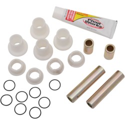 Set rulmenți a-arm PIVOT WORKS PWAAK-P06-000U
