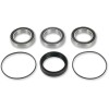Set rulment roată spate înlocuire OEM PIVOT WORKS PWRWK-H04-400