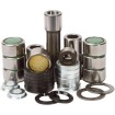Set de reparație articulații oțel înlocuire OEM PIVOT WORKS PWLK-H59-000 thumb