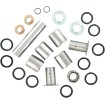 Set de reparație articulații oțel înlocuire OEM PIVOT WORKS PWLK-Y18-000 thumb