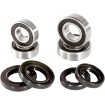 Set rulment față roată OEM înlocuire PIVOT WORKS PWFWK-H02-521 Set rulment față roată OEM înlocuire PIVOT WORKS PWFWK-H02-521 thumb