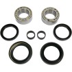 Set rulmenți față pentru roți OEM înlocuire PIVOT WORKS PWFWK-H16-003 thumb