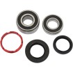 Set rulment roată spate OEM replacement PIVOT WORKS PWRWK-H06-520 Set rulment roată spate OEM replacement PIVOT WORKS PWRWK-H06-520 thumb
