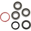 Set rulment roată spate OEM replacement PIVOT WORKS PWRWK-H09-521