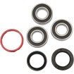 Set rulment roată spate OEM replacement PIVOT WORKS PWRWK-H09-521 Set rulment roată spate OEM replacement PIVOT WORKS PWRWK-H09-521 thumb