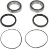 Set rulment roată spate înlocuire OEM PIVOT WORKS PWRWK-H10-420