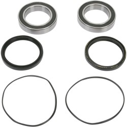 Set rulment roată spate înlocuire OEM PIVOT WORKS PWRWK-H10-420 Set rulment roată spate înlocuire OEM PIVOT WORKS PWRWK-H10-420