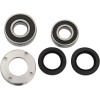 Set rulment spate roată OEM replacement PIVOT WORKS PWRWK-H12-026