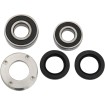 Set rulment spate roată OEM replacement PIVOT WORKS PWRWK-H12-026 thumb