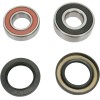 Set rulment roată spate OEM replacement PIVOT WORKS PWRWK-H15-006