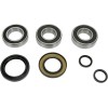 Set rulment roată spate înlocuire OEM PIVOT WORKS PWRWK-H19-040