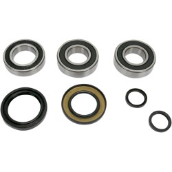 Set rulment roată spate înlocuire OEM PIVOT WORKS PWRWK-H19-040 Set rulment roată spate înlocuire OEM PIVOT WORKS PWRWK-H19-040