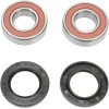 Set rulment roată spate OEM replacement PIVOT WORKS PWRWK-K05-521