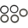 Set rulment spate roată OEM replacement PIVOT WORKS PWRWK-K13-021