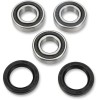 Set rulment spate roată OEM replacement PIVOT WORKS PWRWK-S13-021