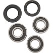 Set rulment spate roată OEM replacement PIVOT WORKS PWRWK-S17-400 Set rulment spate roată OEM replacement PIVOT WORKS PWRWK-S17-400 thumb