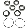 Set rulment roată spate înlocuire OEM PIVOT WORKS PWRWK-S20-500