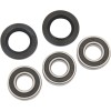 Set rulment roată spate OEM replacement PIVOT WORKS PWRWK-Y06-421