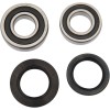 Set rulment spate roată OEM replacement PIVOT WORKS PWRWK-Y08-421